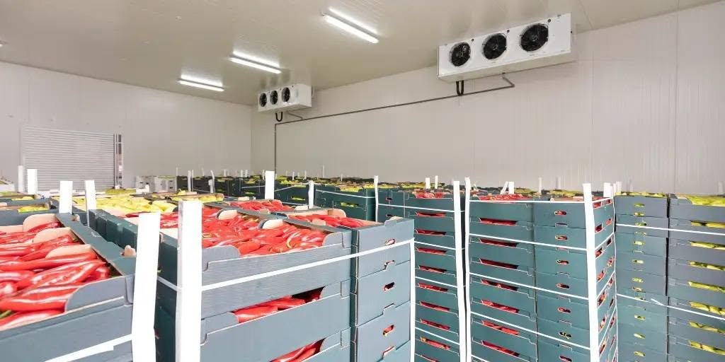 Cold Storage Facility - Produce storage in operation, Dhaka