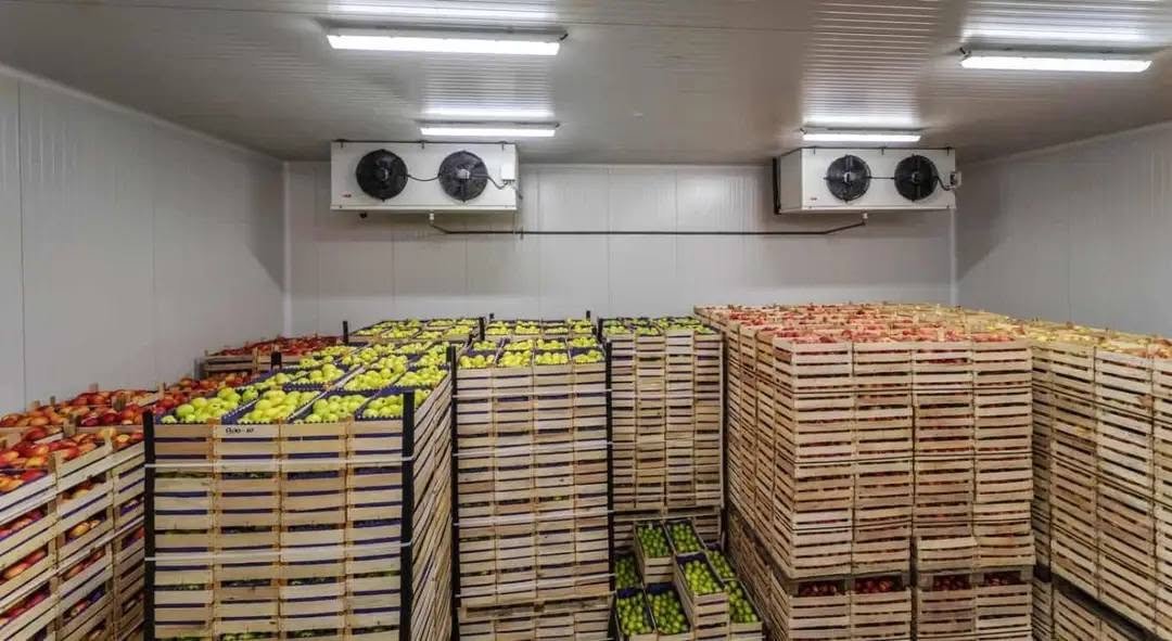 Cold Storage Facility - Fresh produce storage, Dhaka